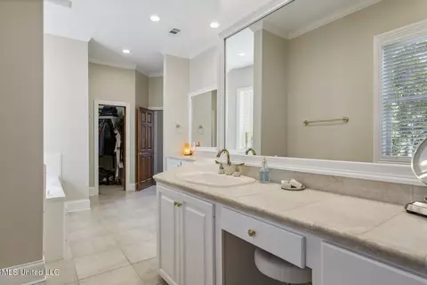 Bath - 283 Deer Haven Dr, Madison, MS 39110 photo 3 of 10