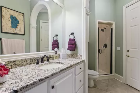 Bath - 283 Deer Haven Dr, Madison, MS 39110 photo 7 of 10