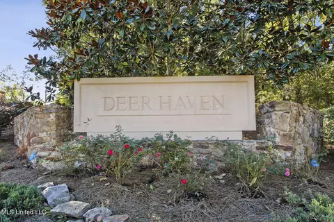 Other - 283 Deer Haven Dr, Madison, MS 39110 photo 14 of 14