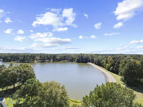 View/Area - 283 Deer Haven Dr, Madison, MS 39110 photo 2 of 8