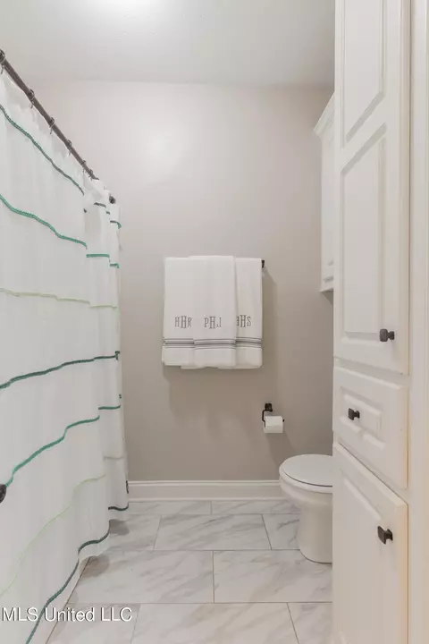 Bath - 409 Meadows Ct, Madison, MS 39110 photo 5 of 6