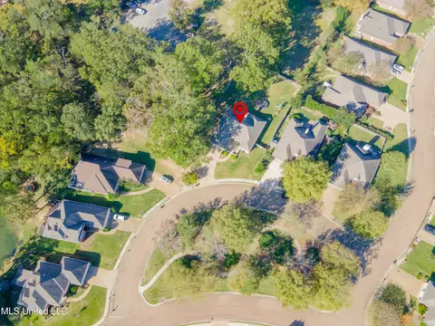View/Area - 409 Meadows Ct, Madison, MS 39110 photo 2 of 2