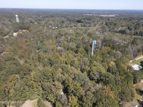 409 Hickory Ln, D'lo, MS 39062 photo 6