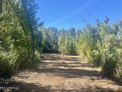 409 Hickory Ln, D'lo, MS 39062