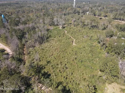 409 Hickory Ln, D'lo, MS 39062 photo 20