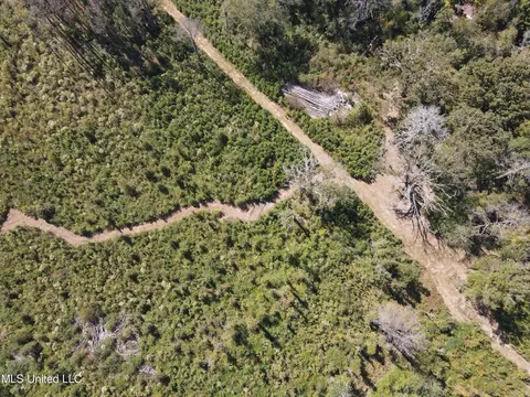 409 Hickory Ln, D'lo, MS 39062 photo 15