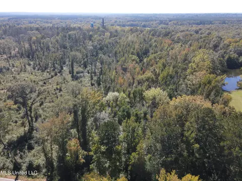 409 Hickory Ln, D'lo, MS 39062 photo 5