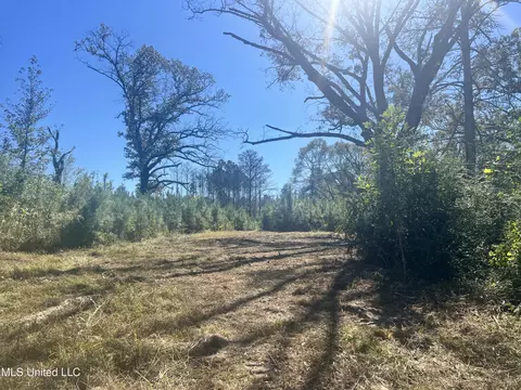 409 Hickory Ln, D'lo, MS 39062 photo 7