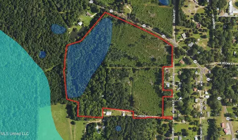 409 Hickory Ln, D'lo, MS 39062 photo 23