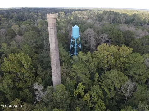 409 Hickory Ln, D'lo, MS 39062 photo 22