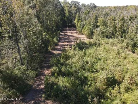 409 Hickory Ln, D'lo, MS 39062 photo 17