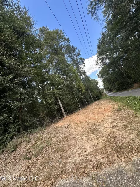 Nsn Twin Creek Road Road, Lucedale, MS 39452