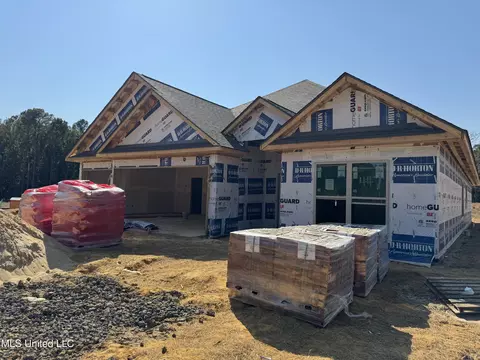 Exterior - 447 Piney Dr, Pearl, MS 39208 photo 1 of 1