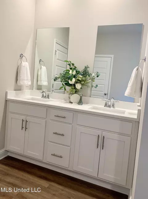 Bath - 447 Piney Dr, Pearl, MS 39208 photo 1 of 3