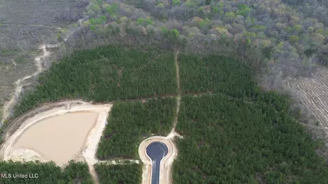 Freedom Ridge Lane, Brandon, MS 39047 photo 2