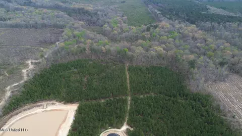Freedom Ridge Lane, Brandon, MS 39047 photo 3