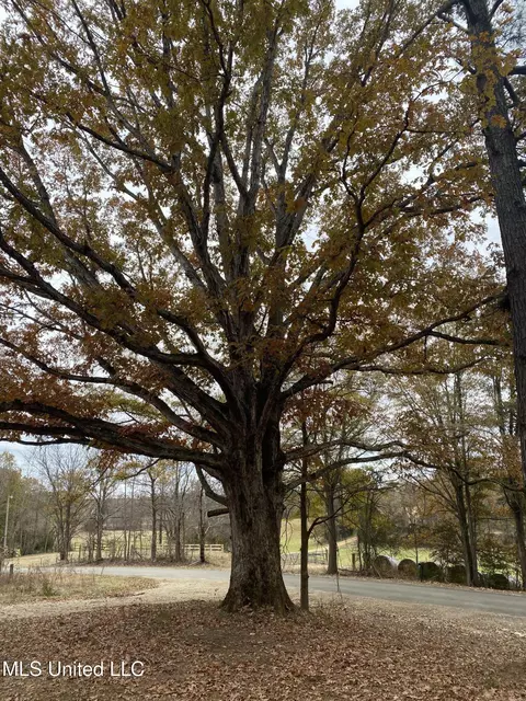 566 Mcmaster Rd, Sarah, MS 38665 photo 20