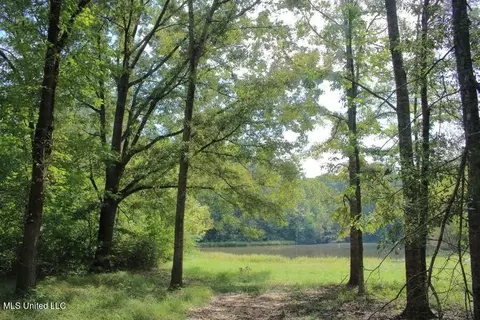 154 Mccarty Rd, Byram, MS 39212 photo 1