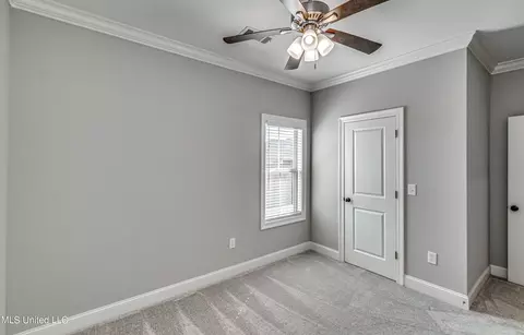 121 Palace Xing, Flowood, MS 39232 photo 41