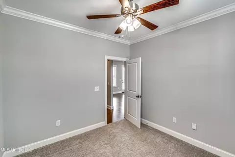121 Palace Xing, Flowood, MS 39232 photo 37