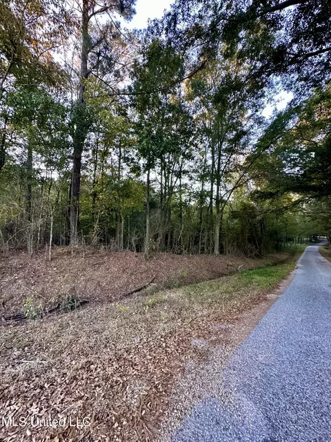 0 W Hwy 28, Magee, MS 39111 photo 3