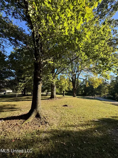 Exterior - 4988 Starlanding Rd, Nesbit, MS 38651 photo 4 of 7