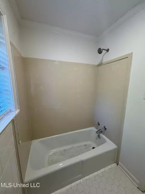 Bath - 4988 Starlanding Rd, Nesbit, MS 38651 photo 5 of 5