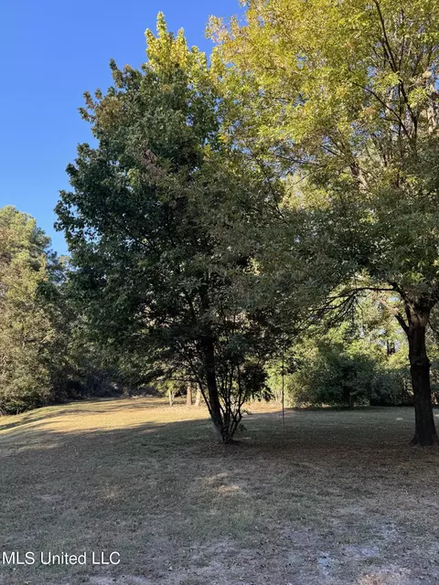 Exterior - 4988 Starlanding Rd, Nesbit, MS 38651 photo 6 of 7