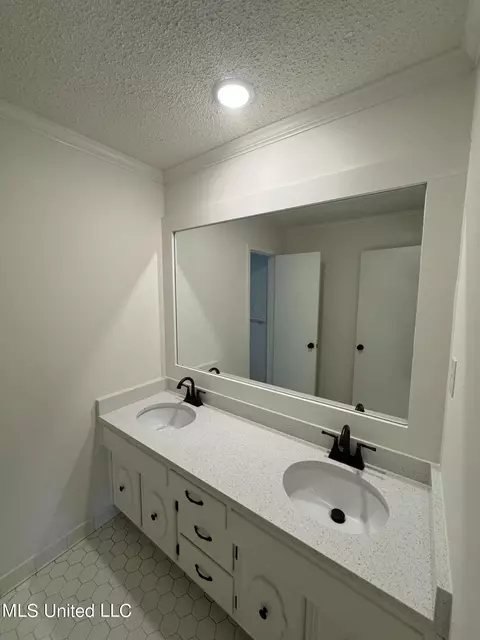 Bath - 4988 Starlanding Rd, Nesbit, MS 38651 photo 4 of 5