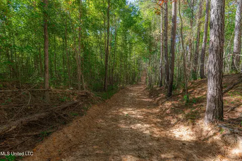 721 Permenter Rd, Carthage, MS 39051 photo 47