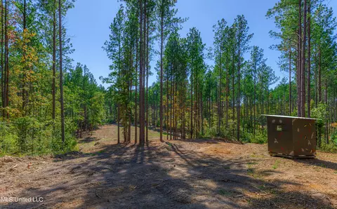 721 Permenter Rd, Carthage, MS 39051 photo 31
