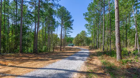 721 Permenter Rd, Carthage, MS 39051 photo 14