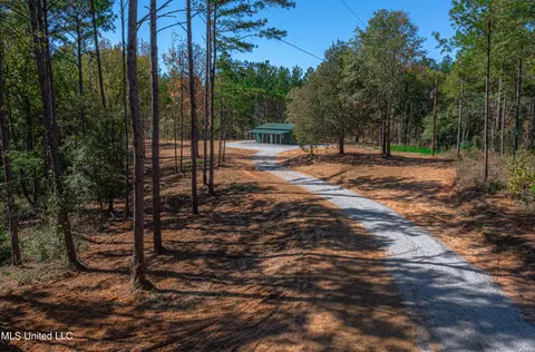 721 Permenter Rd, Carthage, MS 39051