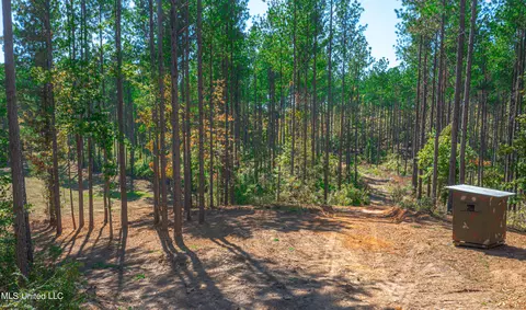 721 Permenter Rd, Carthage, MS 39051 photo 43