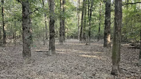 Highway 35, Vaiden, MS 39176