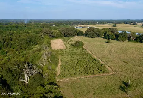 0001 Livingston Vernon Rd, Flora, MS 39071