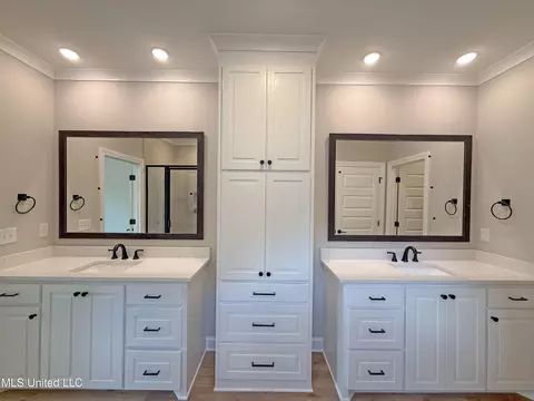 Bath - 306 Tremont Dr, Florence, MS 39073 photo 3 of 4