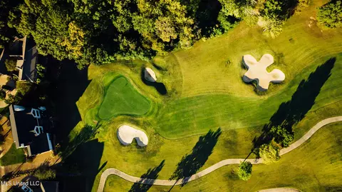 View/Area - 131 Royal Lytham, Jackson, MS 39211 photo 6 of 8