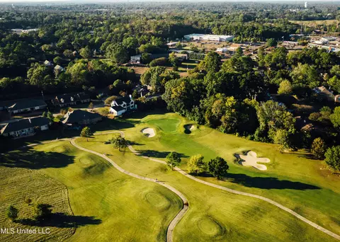 View/Area - 131 Royal Lytham, Jackson, MS 39211 photo 5 of 8