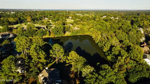 View/Area - 131 Royal Lytham, Jackson, MS 39211 photo 3 of 8