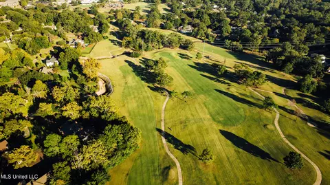View/Area - 131 Royal Lytham, Jackson, MS 39211 photo 7 of 8