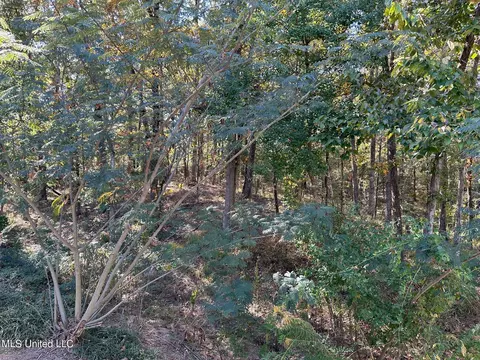 523 Walker Ln, Raymond, MS 39154 photo 23