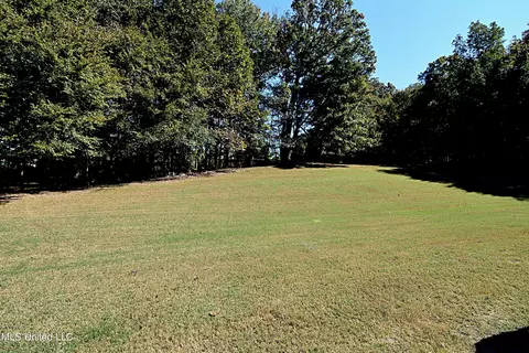 3710 Rhett Butler Dr, Hernando, MS 38632 photo 30