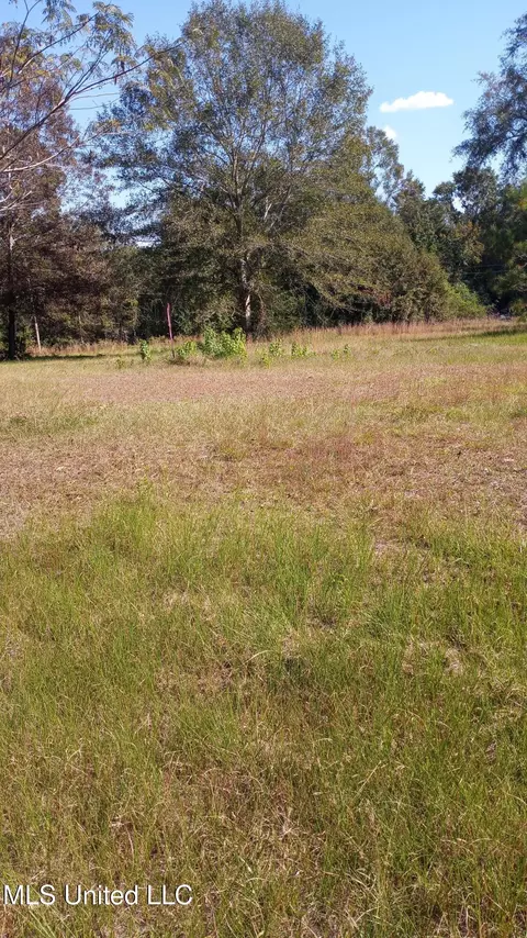 Nsn Mount Rose Circle, Mclain, MS 39456 photo 3