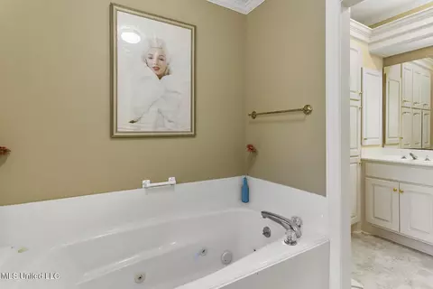 Bath - 105 Trace Ridge Dr, Clinton, MS 39056 photo 4 of 6