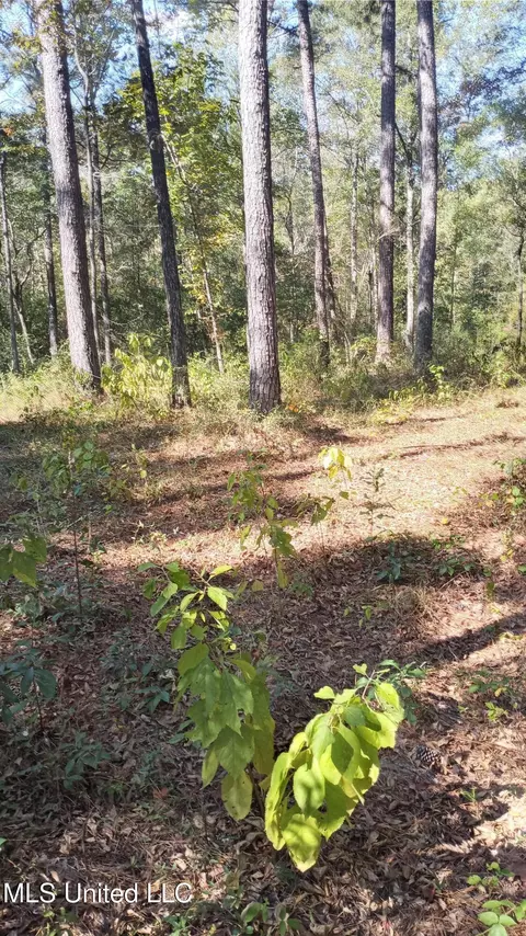 Mount Rose Circle, Mclain, MS 39456 photo 12