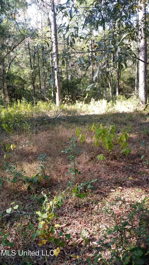 Mount Rose Circle, Mclain, MS 39456 photo 11