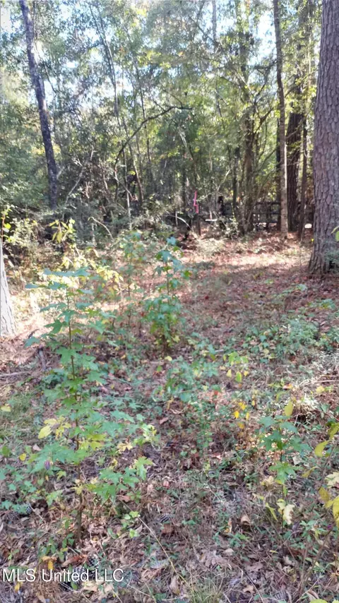 Mount Rose Circle, Mclain, MS 39456 photo 13