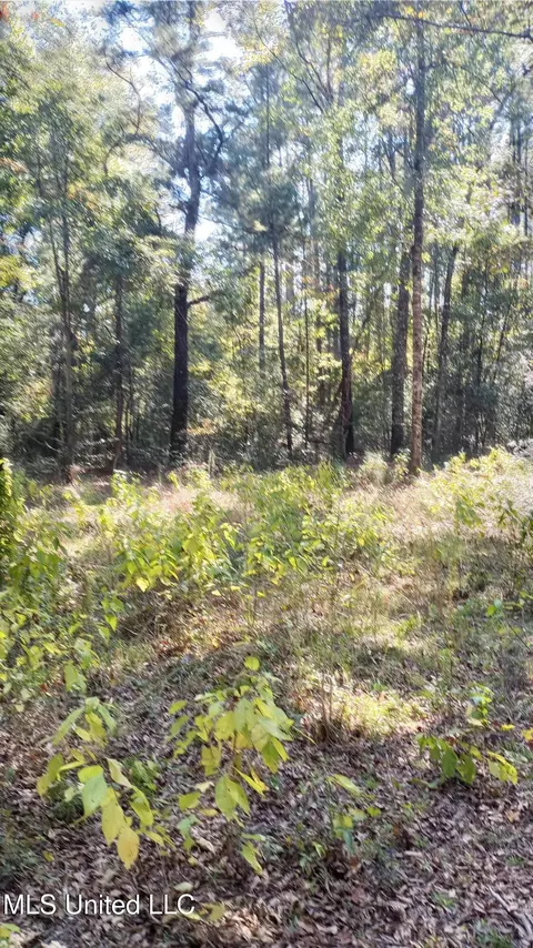 Mount Rose Circle, Mclain, MS 39456 photo 7