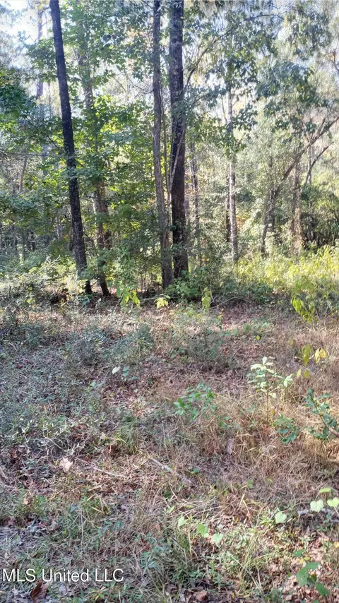 Mount Rose Circle, Mclain, MS 39456 photo 10